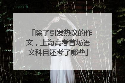 除了引发热议的作文，上海高考首场语文科目还考了哪些