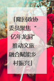隆回政协委员聚焦“亿年龙洞” 推动文旅融合赋能乡村振兴