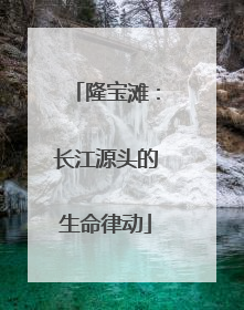 隆宝滩：长江源头的生命律动