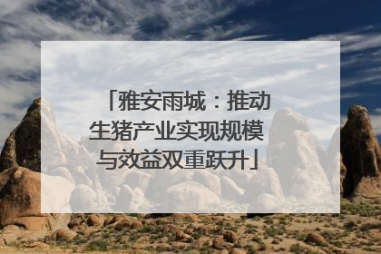 雅安雨城：推动生猪产业实现规模与效益双重跃升