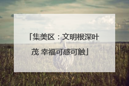 集美区：文明根深叶茂 幸福可感可触