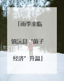 雨季来临 镇沅县“菌子经济”升温