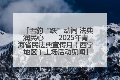 雪豹“跃”动间 法典润民心——2025年青海省民法典宣传月（西宁地区）主场活动见闻