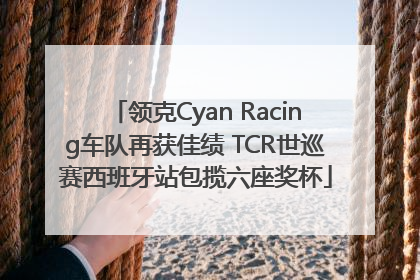领克Cyan Racing车队再获佳绩 TCR世巡赛西班牙站包揽六座奖杯