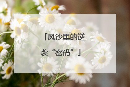 风沙里的逆袭“密码”