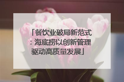 餐饮业破局新范式:海底捞以创新管理驱动高质量发展