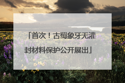 首次！古蜀象牙无灌封材料保护公开展出