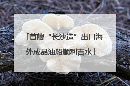首艘“长沙造”出口海外成品油船顺利吉水