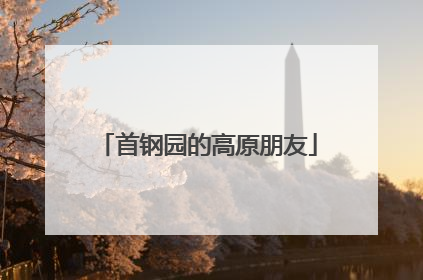 首钢园的高原朋友