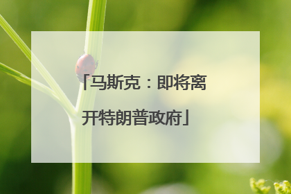 马斯克：即将离开特朗普政府