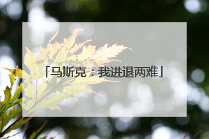 马斯克：我进退两难