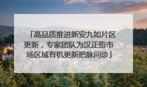 高品质推进新安九如片区更新，专家团队为汉正街市场区域有机更新把脉问诊