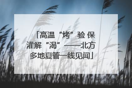 高温“烤”验 保灌解“渴”——北方多地夏管一线见闻