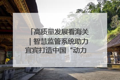 高质量发展看海关｜智慧监管系统助力宜宾打造中国“动力电池之都”
