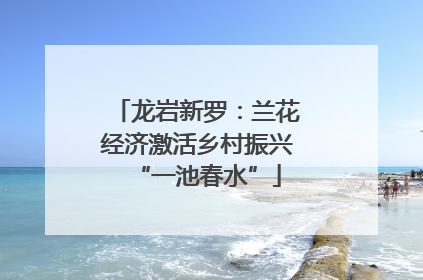 龙岩新罗：兰花经济激活乡村振兴“一池春水”