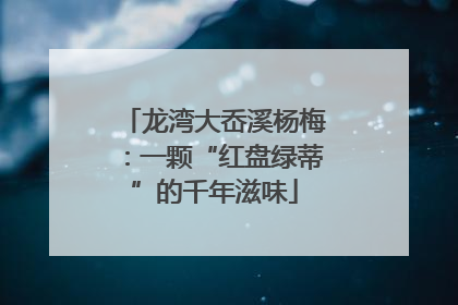 龙湾大岙溪杨梅：一颗“红盘绿蒂”的千年滋味