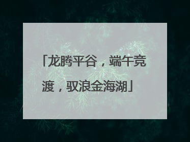 龙腾平谷，端午竞渡，驭浪金海湖