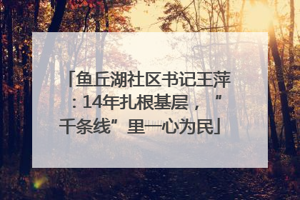 鱼丘湖社区书记王萍：14年扎根基层，“千条线”里一心为民