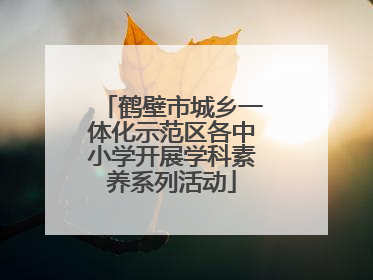 鹤壁市城乡一体化示范区各中小学开展学科素养系列活动