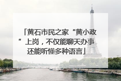 黄石市民之家“黄小政”上岗，不仅能聊天办事还能听懂多种语言