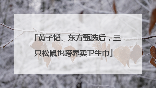 黄子韬、东方甄选后，三只松鼠也跨界卖卫生巾
