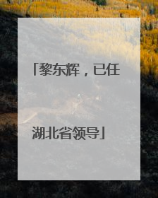 黎东辉，已任湖北省领导