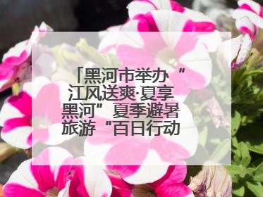 黑河市举办“江风送爽·夏享黑河”夏季避暑旅游“百日行动”新闻发布会