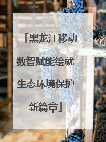 黑龙江移动数智赋能绘就生态环境保护新篇章
