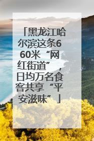 黑龙江哈尔滨这条660米“网红街道”，日均万名食客共享“平安滋味”