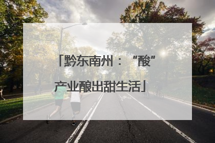黔东南州：“酸”产业酿出甜生活