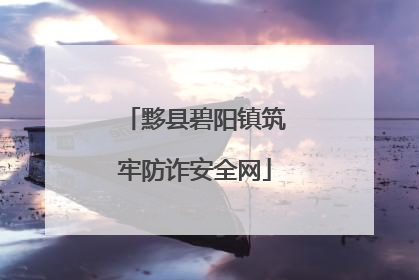 黟县碧阳镇筑牢防诈安全网