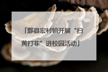 黟县宏村镇开展“扫黄打非”进校园活动