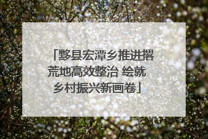黟县宏潭乡推进撂荒地高效整治 绘就乡村振兴新画卷