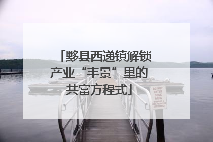 黟县西递镇解锁产业“丰景”里的共富方程式