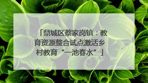 鼎城区蔡家岗镇：教育资源整合试点激活乡村教育“一池春水”