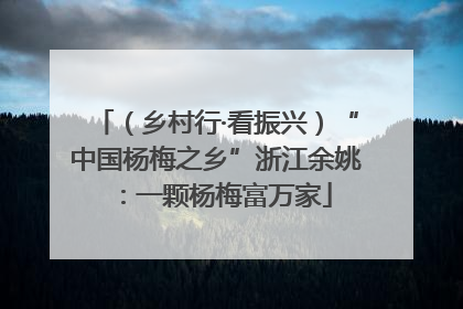 （乡村行·看振兴）“中国杨梅之乡”浙江余姚：一颗杨梅富万家