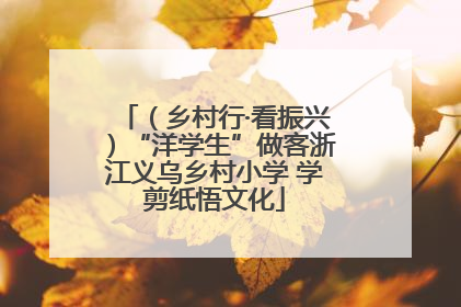 （乡村行·看振兴）“洋学生”做客浙江义乌乡村小学 学剪纸悟文化