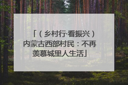 （乡村行·看振兴）内蒙古西部村民：不再羡慕城里人生活