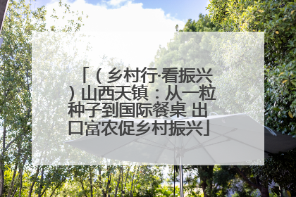 （乡村行·看振兴）山西天镇：从一粒种子到国际餐桌 出口富农促乡村振兴
