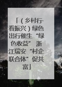 （乡村行·看振兴）绿色出行催生“绿色收益” 浙江瑞安“村企联合体”促共富