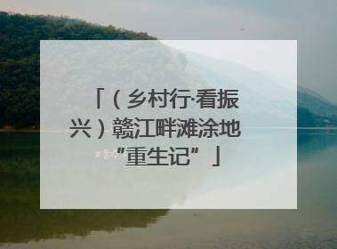 （乡村行·看振兴）赣江畔滩涂地“重生记”