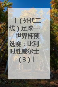 （外代二线）足球——世界杯预选赛：比利时胜威尔士（3）