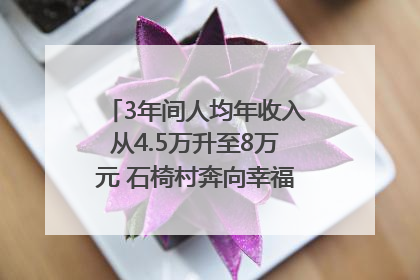 3年间人均年收入从4.5万升至8万元 石椅村奔向幸福好样子｜牵挂的村