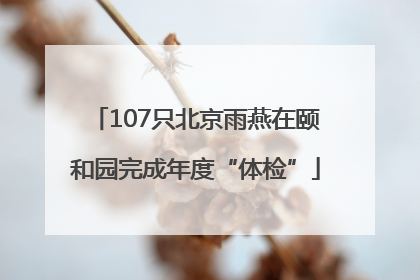107只北京雨燕在颐和园完成年度“体检”