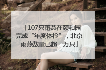 107只雨燕在颐和园完成“年度体检”，北京雨燕数量已超一万只