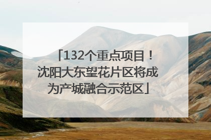 132个重点项目！沈阳大东望花片区将成为产城融合示范区