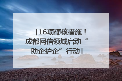 16项硬核措施！成都网信领域启动“助企护企”行动
