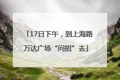 17日下午，到上海路万达广场“问招”去