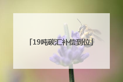 19吨碳汇补偿到位