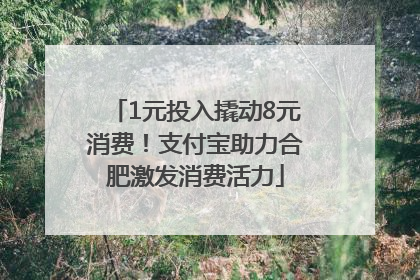 1元投入撬动8元消费！支付宝助力合肥激发消费活力